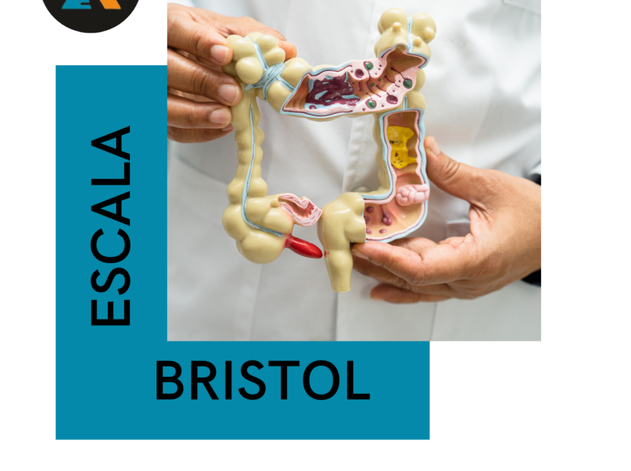 Escala bristol: tipos de heces