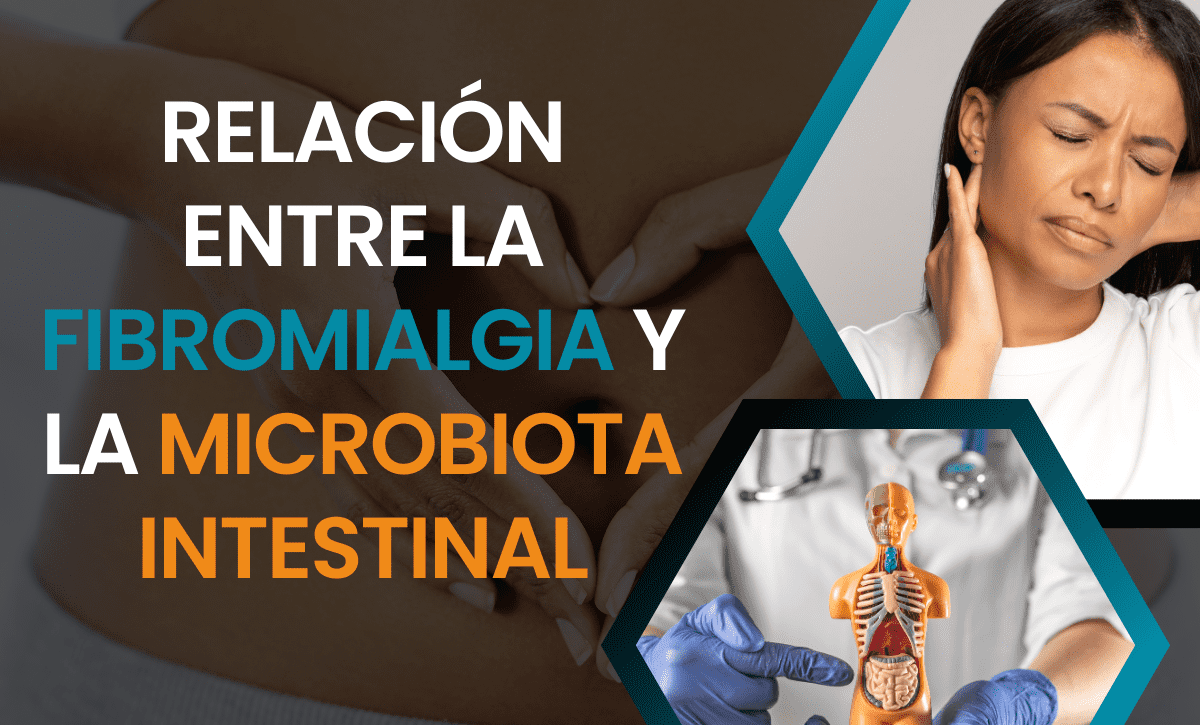 fibromialgia y la microbiota intestinal
